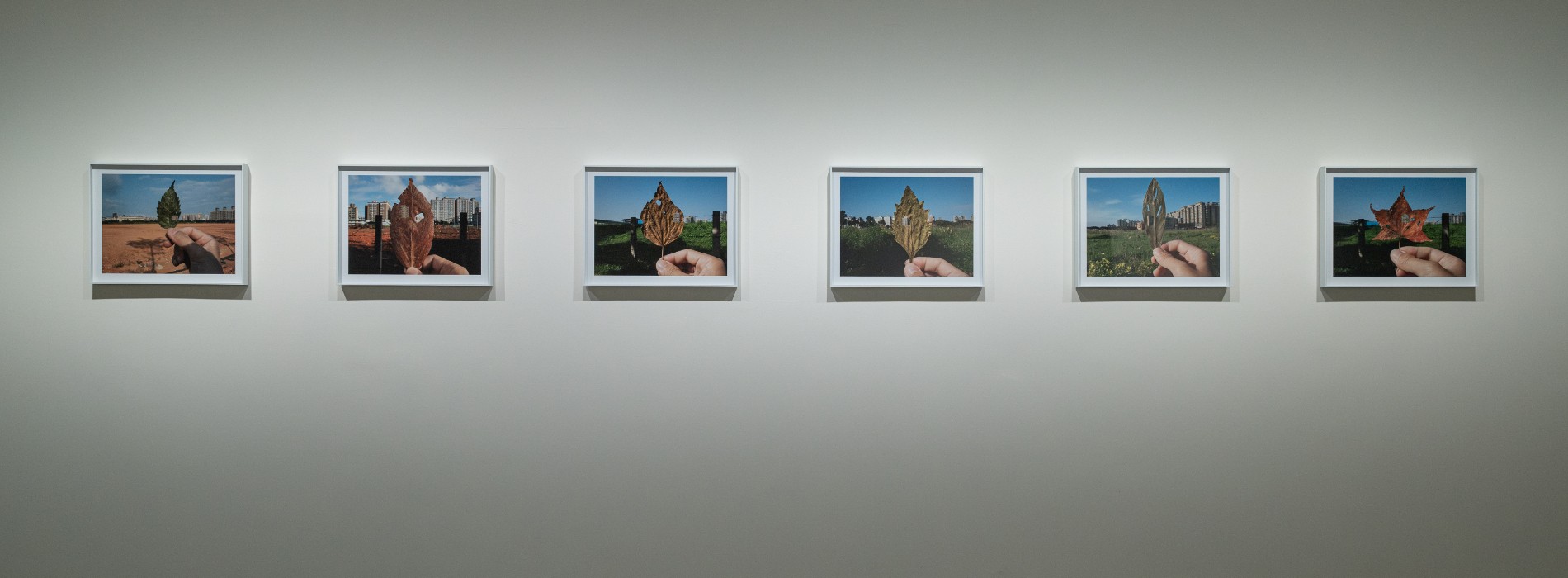 北美館「王雅慧：旅行者」開展：從一間房、一片葉到旅行者號，以影像丈量時間與宇宙的20年