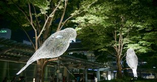 漫遊東京六本木藝術之夜，精選10件亮點作品！