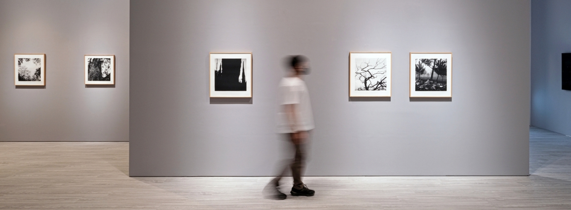 探索人與自然共生的關係!安卓藝術3位藝術家個展登場:李明則、Christopher Taylor、Dan Măciucă