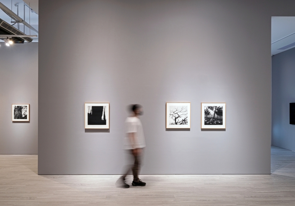 探索人與自然共生的關係!安卓藝術3位藝術家個展登場:李明則、Christopher Taylor、Dan Măciucă