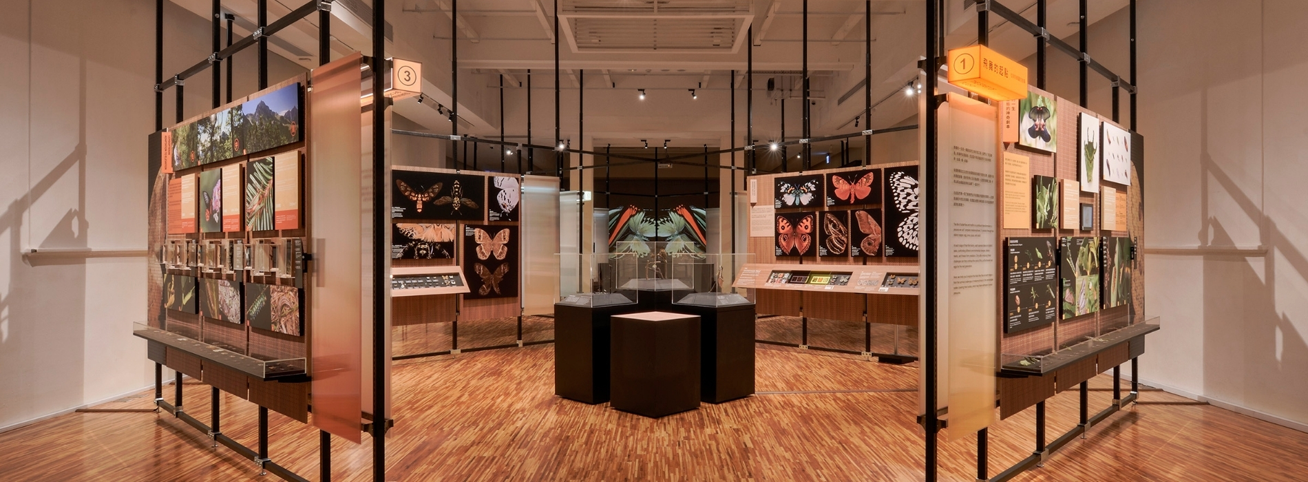 臺博館全新特展登場！《島嶼飛行：臺灣蝶蛾生存記》：格式設計融入當代設計美學轉譯「生物知識」