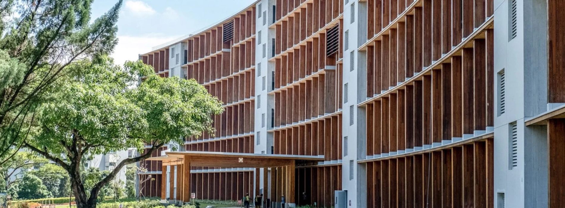 伊東豐雄打造亞洲最大木構建築!新加坡南洋理工大學新樓「Gaia」實踐淨零碳排永續校園