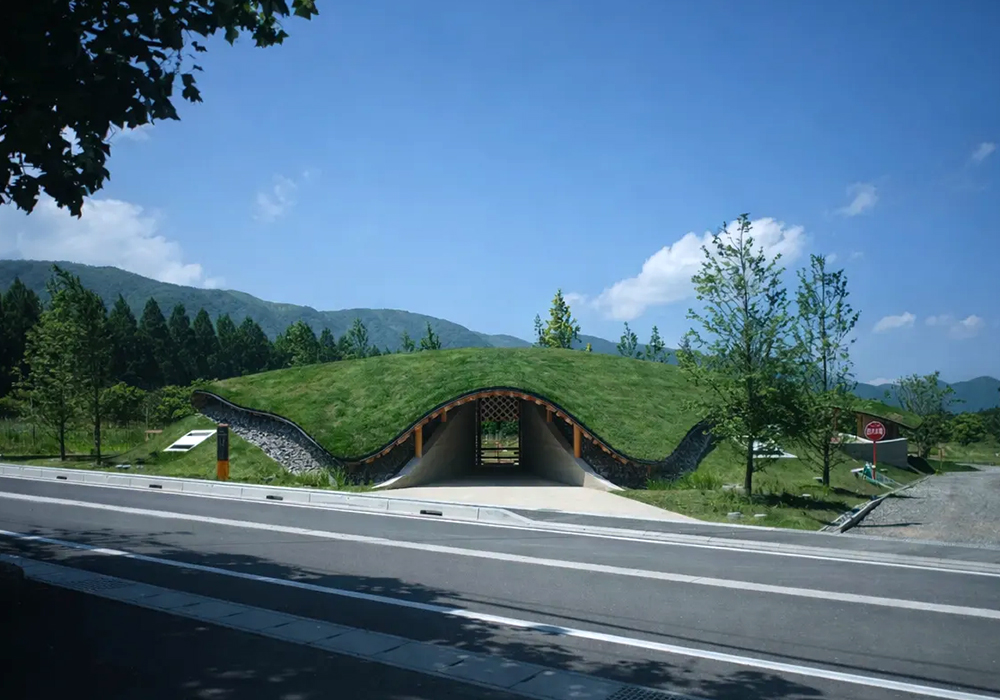 日本觀光牧場「水杉與馬之森」：曲面木造大屋頂融入地景，展開人馬共生的療癒日常