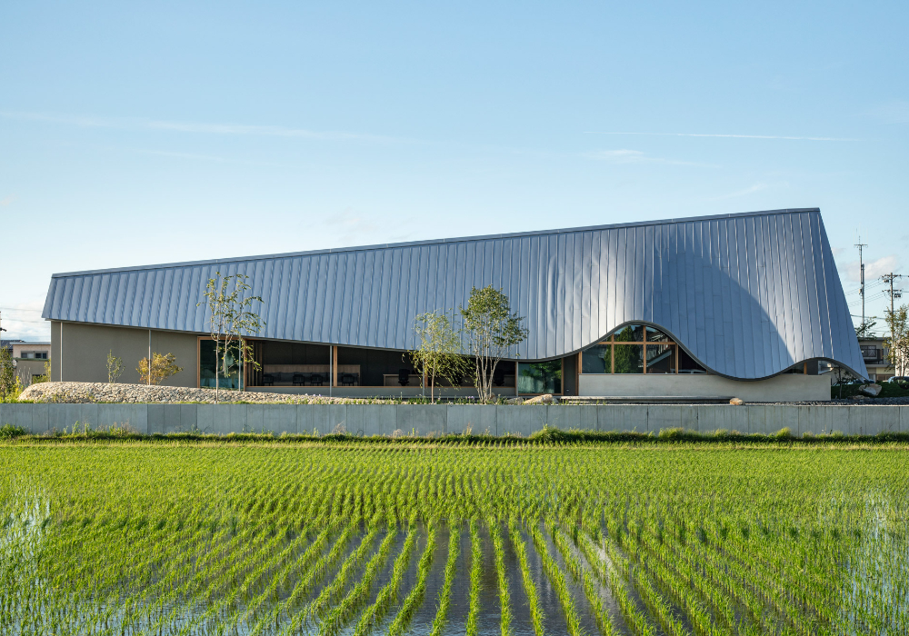為風與自然留一個位置：在稻田之間工作的岐阜辦公室，以起伏屋簷設計回應四季與日常