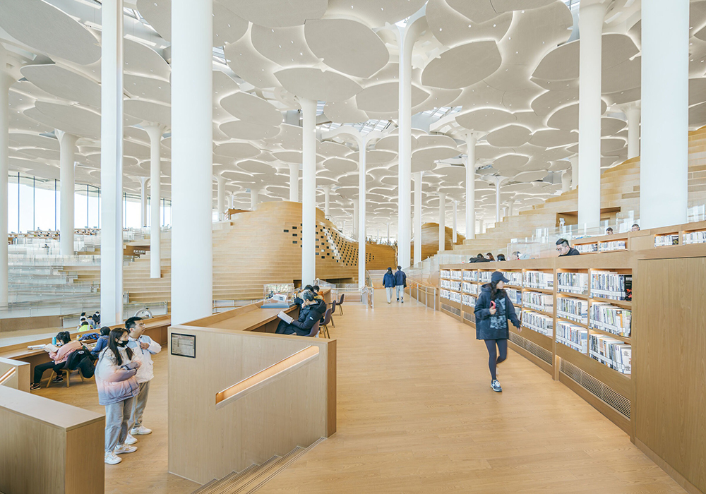 Snøhetta打造宛如森林的「北京城市圖書館」！銀杏樹、山丘自然意象結合永續設計，為當地創造文化生活中心