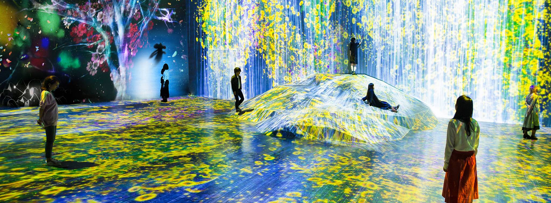 東京「teamLab Borderless」遷新址!2024年2月登場「麻布台Hills」帶來全新絢麗新作