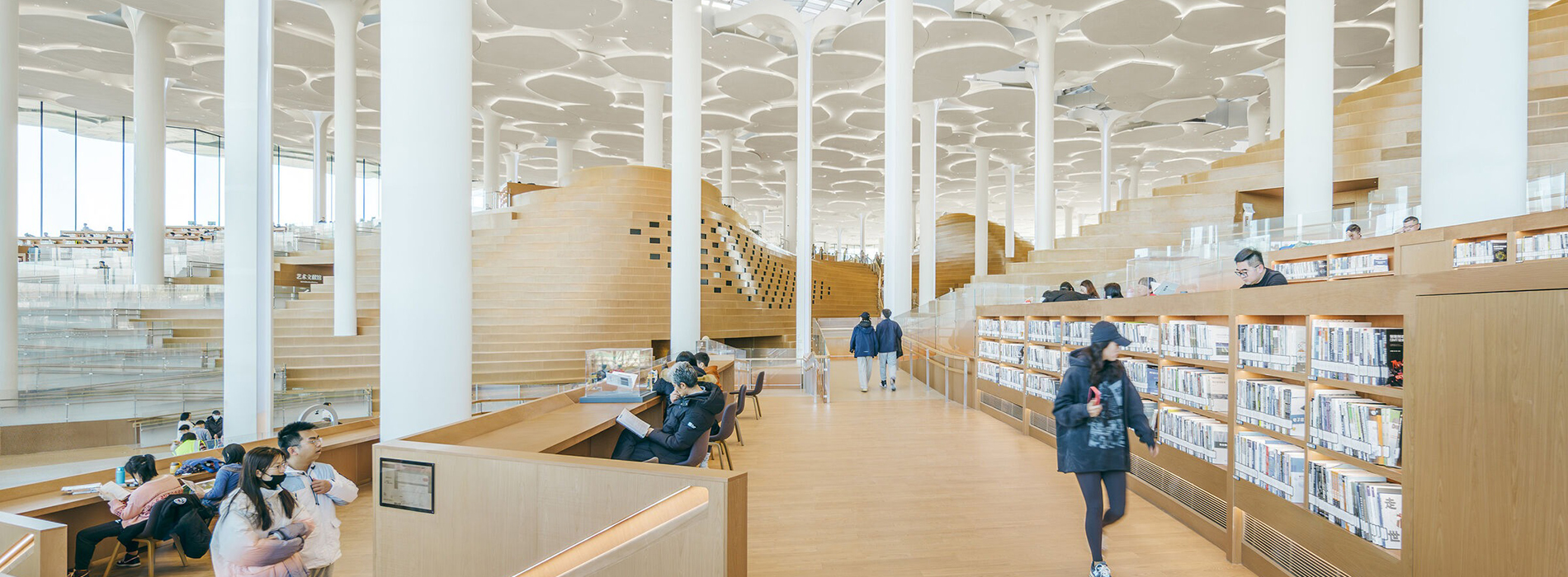 Snøhetta打造宛如森林的「北京城市圖書館」！銀杏樹、山丘自然意象結合永續設計，為當地創造文化生活中心