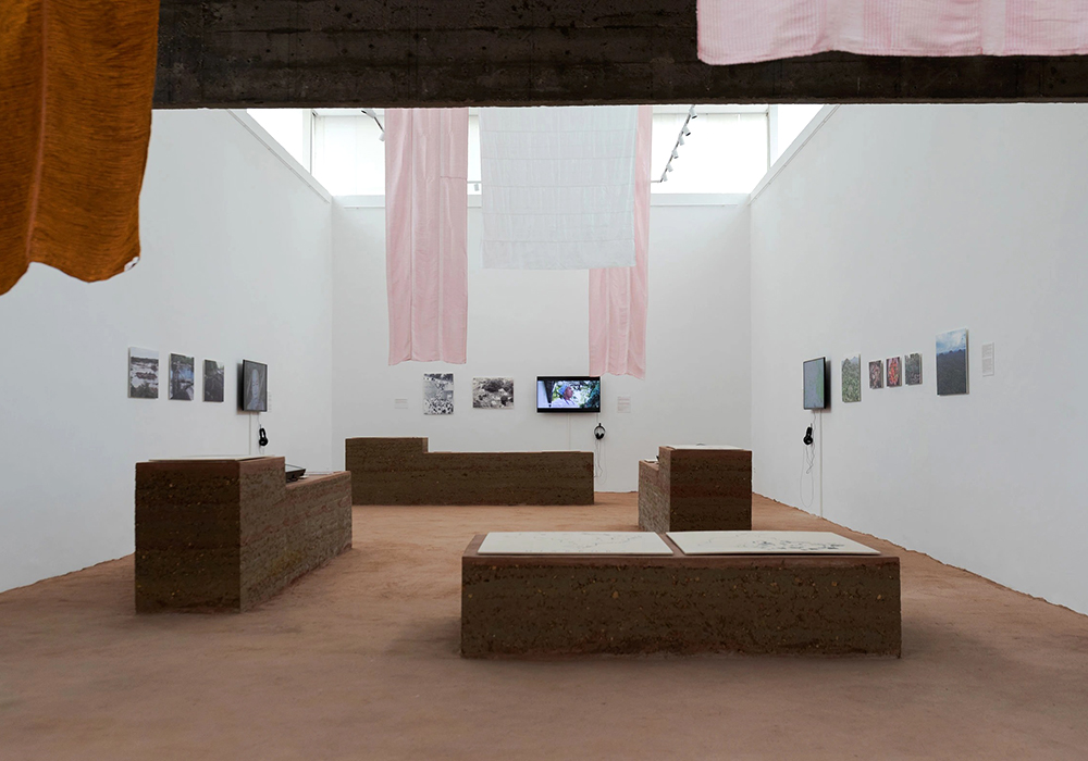 2023威尼斯建築雙年展金獅獎！巴西館《大地》以「土壤」鋪滿場館，回溯土地歷史、放眼未來的可能