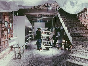「紙」開初一十五！鳳嬌催化室，催生你對自然材質的無限想像！