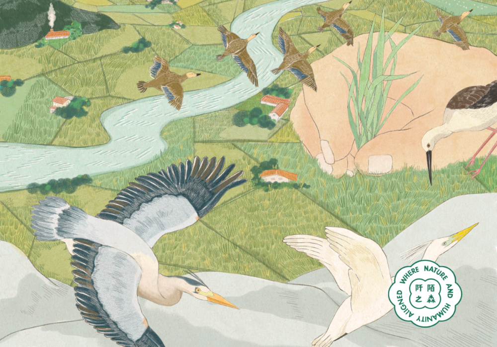 2026 林業保育署《阡陌之森》月曆發行:集結鄒駿昇、Croter 等 5 位插畫家,細膩手繪台灣地景