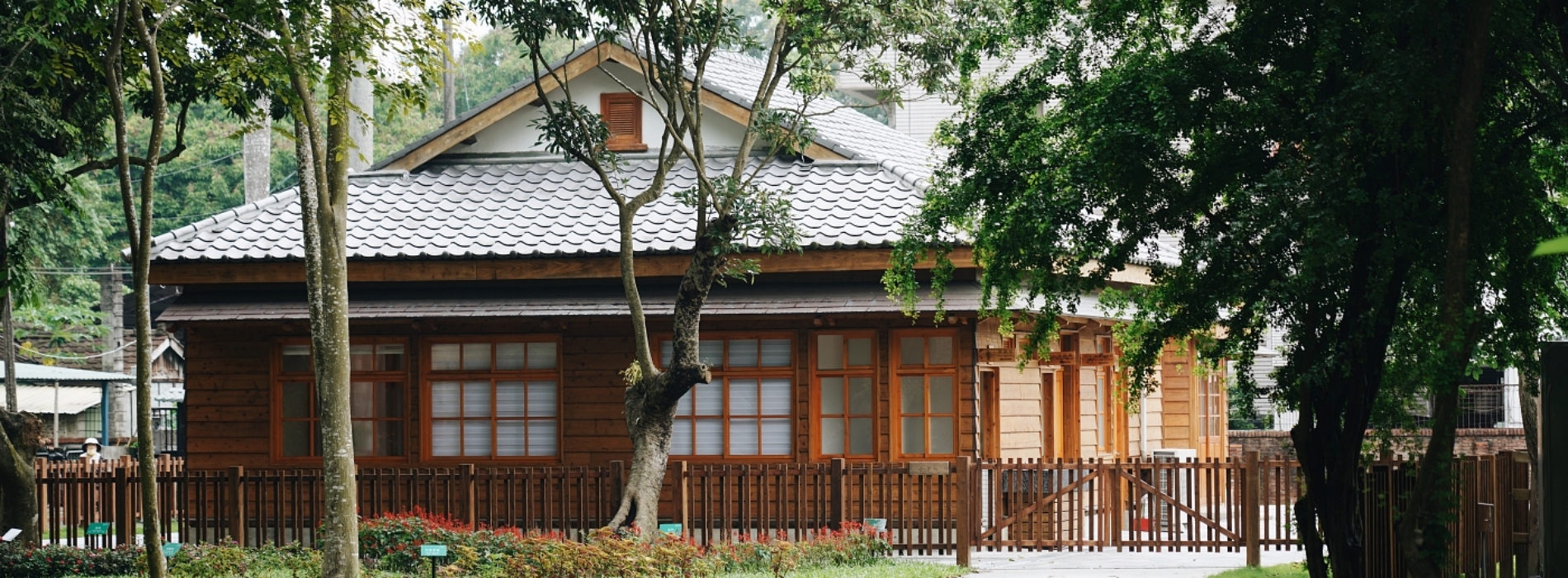 走入百年嘉義樹木園看展！「城市公園野草學：嘉義當代採集創作」登場，三大展區勾勒小城植物生態