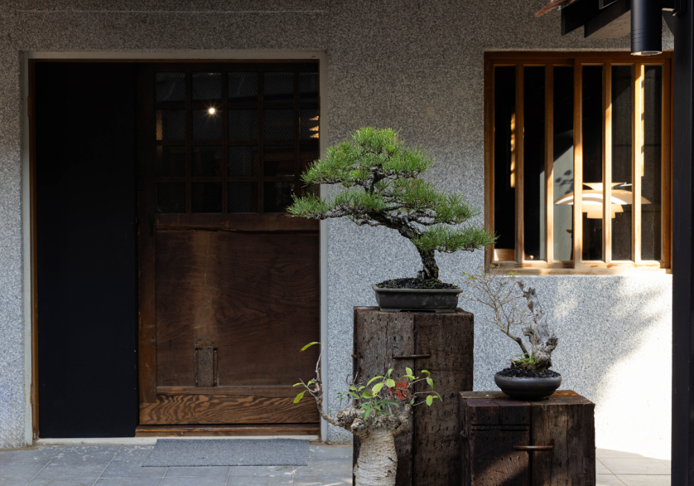 陽明山古物植栽品牌「裏山」大稻埕展新店！「裏Ura.219」進駐迪化街老屋，結合咖啡與服裝品牌的全新複合空間