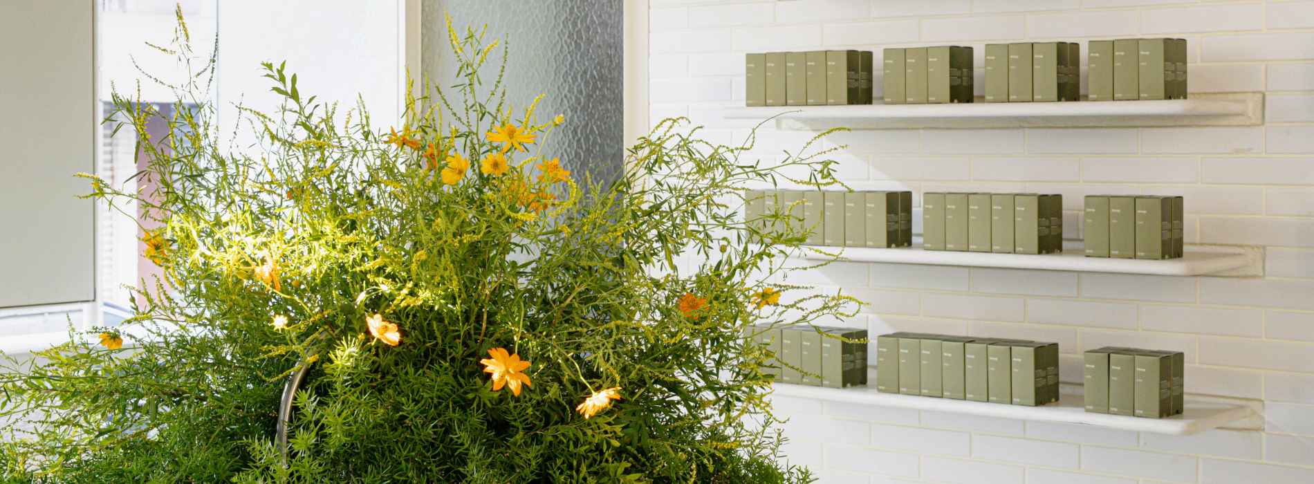 Aesop 夏季限定街角花店登場：在盛夏裡打造一處氣味與植物交織的感官棲所