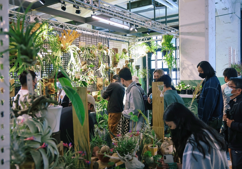 「2023台灣第一植物界」台中世貿登場!80間亞洲植物品牌、職人西畠勲造、竹岡篤史登台