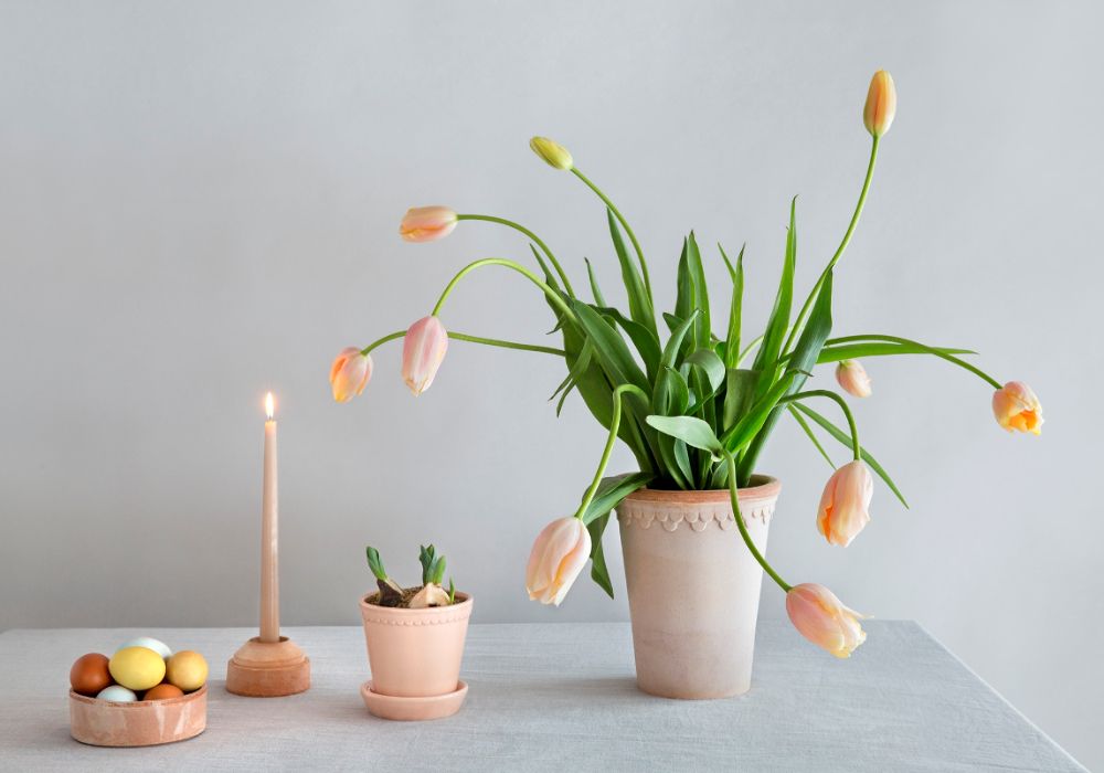 丹麥最高工藝級陶盆「Bergs Potter」攜手森/CASA登台！經典裸陶呈現礦物原彩、飽和亮釉展演繽紛，年度新品首次曝光