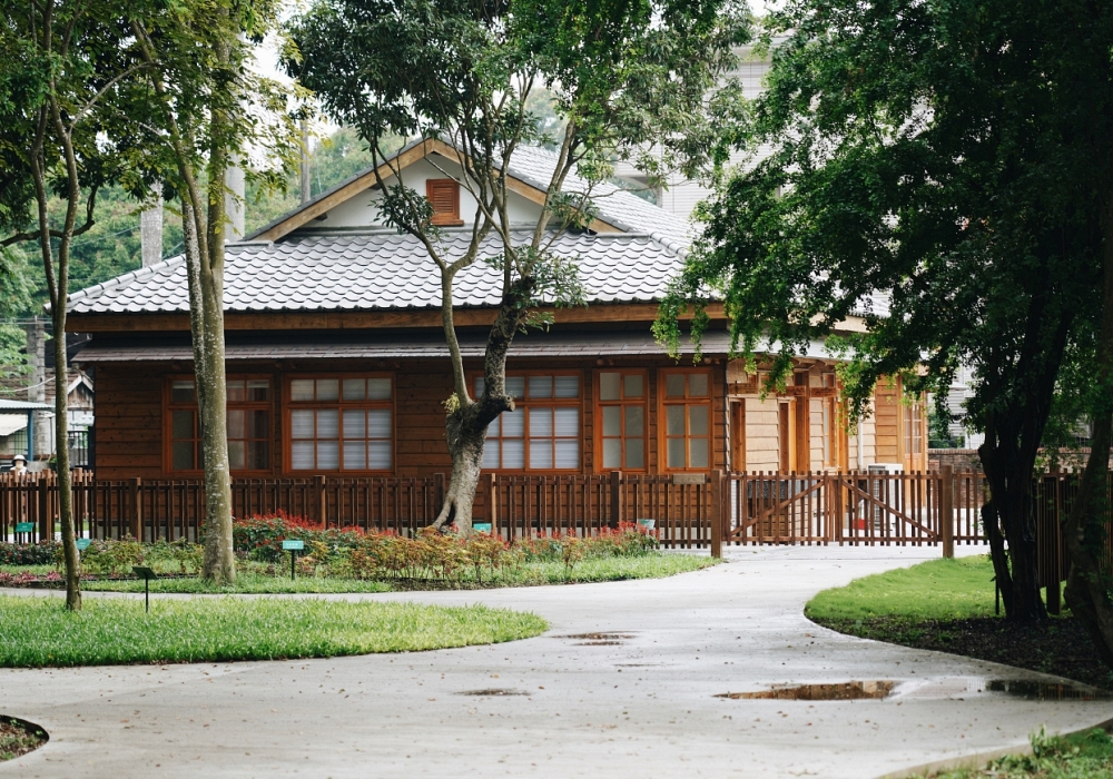 走入百年嘉義樹木園看展！「城市公園野草學：嘉義當代採集創作」登場，三大展區勾勒小城植物生態