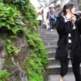 吳虹霏
