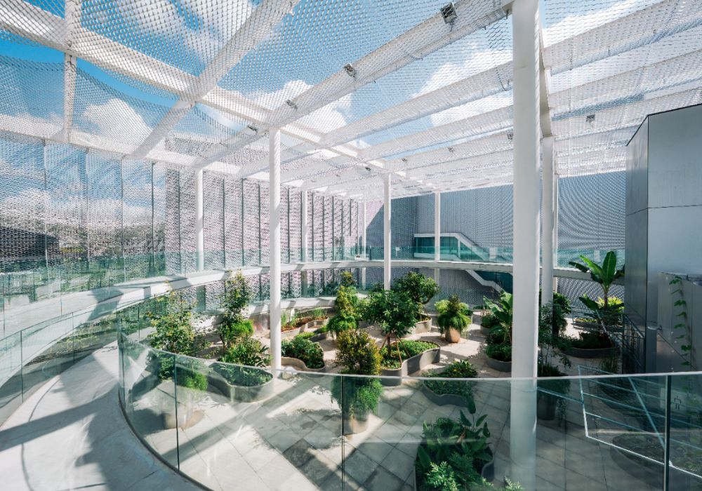 臺中綠美圖屋頂花園變身「無界花園」！32座植栽浮島，種下越南移民的生活與記憶